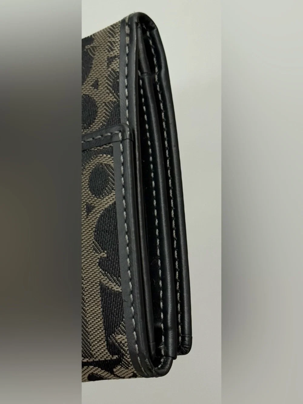 Dior christian oblique